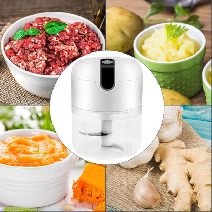 Powerful Electric Mini Chopper
