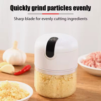 Powerful Electric Mini Chopper