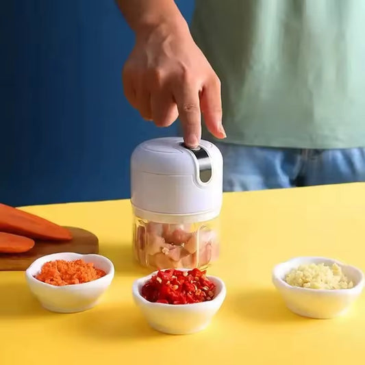Powerful Electric Mini Chopper